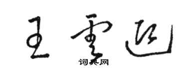 骆恒光王云迎草书个性签名怎么写