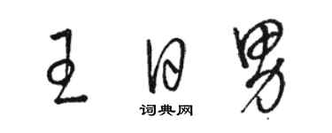 骆恒光王日男草书个性签名怎么写