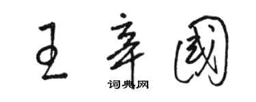 骆恒光王辛国草书个性签名怎么写
