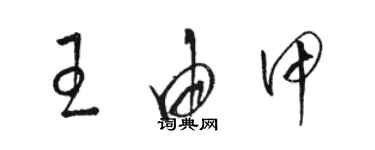 骆恒光王由甲草书个性签名怎么写