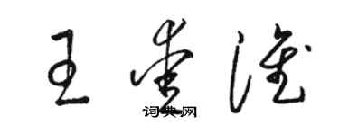 骆恒光王爱淮草书个性签名怎么写