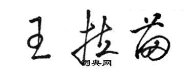 骆恒光王拉苗草书个性签名怎么写