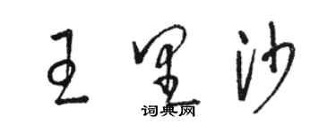 骆恒光王里沙草书个性签名怎么写
