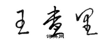 骆恒光王查里草书个性签名怎么写