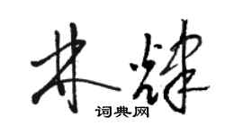 骆恒光林辉草书个性签名怎么写