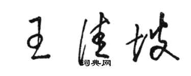 骆恒光王佳坡草书个性签名怎么写