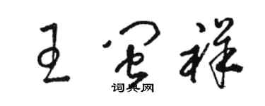 骆恒光王闽祥草书个性签名怎么写