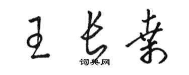 骆恒光王长桑草书个性签名怎么写
