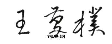 骆恒光王庆朴草书个性签名怎么写