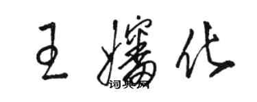 骆恒光王婶化草书个性签名怎么写