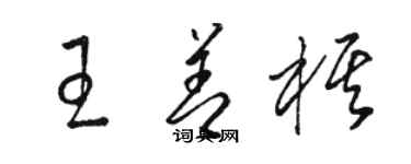 骆恒光王善棋草书个性签名怎么写