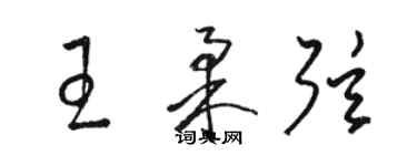 骆恒光王柔弦草书个性签名怎么写