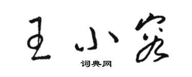 骆恒光王小容草书个性签名怎么写