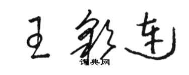 骆恒光王彩连草书个性签名怎么写