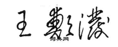 骆恒光王郑泼草书个性签名怎么写