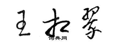 骆恒光王相翠草书个性签名怎么写