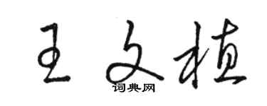 骆恒光王文植草书个性签名怎么写