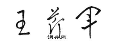 骆恒光王芹军草书个性签名怎么写