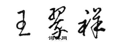 骆恒光王翠祥草书个性签名怎么写