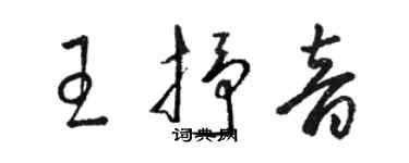 骆恒光王抒音草书个性签名怎么写
