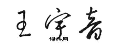 骆恒光王宇音草书个性签名怎么写