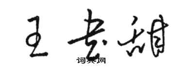 骆恒光王书甜草书个性签名怎么写