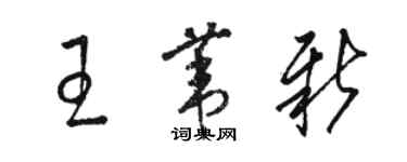 骆恒光王苇新草书个性签名怎么写
