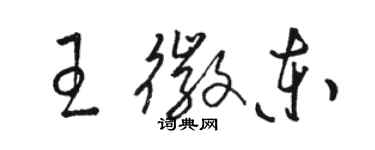 骆恒光王徽东草书个性签名怎么写