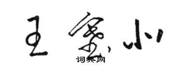 骆恒光王塞北草书个性签名怎么写