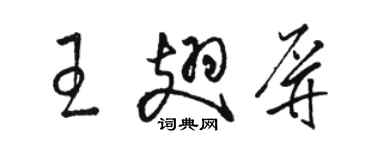 骆恒光王翅屏草书个性签名怎么写