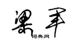 朱锡荣梁军草书个性签名怎么写