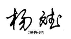 朱锡荣杨斌草书个性签名怎么写