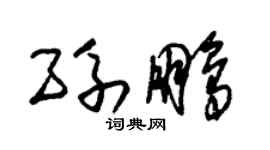朱锡荣孙鹏草书个性签名怎么写