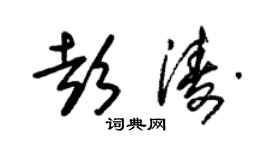 朱锡荣彭涛草书个性签名怎么写