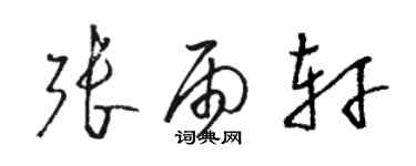 骆恒光张雨轩草书个性签名怎么写