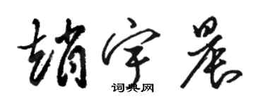 骆恒光赵宇晨草书个性签名怎么写