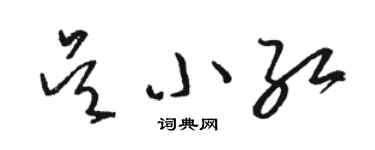 骆恒光吴小红草书个性签名怎么写
