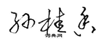 骆恒光孙桂香草书个性签名怎么写