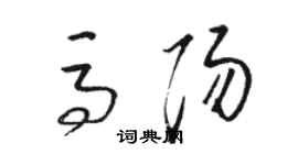 骆恒光马阳草书个性签名怎么写