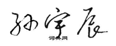 骆恒光孙宇辰草书个性签名怎么写
