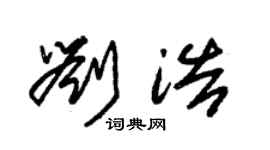 朱锡荣刘浩草书个性签名怎么写