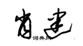 朱锡荣肖建草书个性签名怎么写