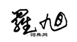朱锡荣罗旭草书个性签名怎么写