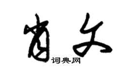 朱锡荣肖文草书个性签名怎么写