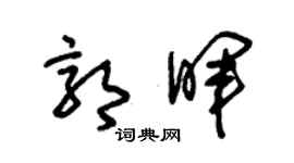 朱锡荣郭晖草书个性签名怎么写