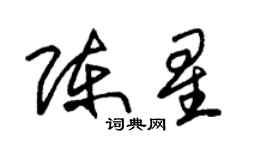 朱锡荣陈星草书个性签名怎么写