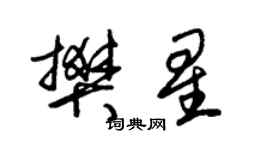 朱锡荣樊星草书个性签名怎么写