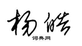 朱锡荣杨皓草书个性签名怎么写