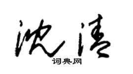 朱锡荣沈清草书个性签名怎么写