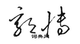 骆恒光郭博草书个性签名怎么写